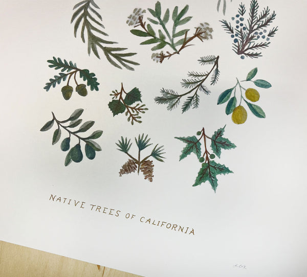 SALE Native Trees print