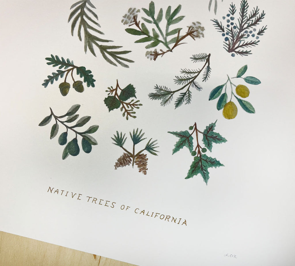 Native Trees print