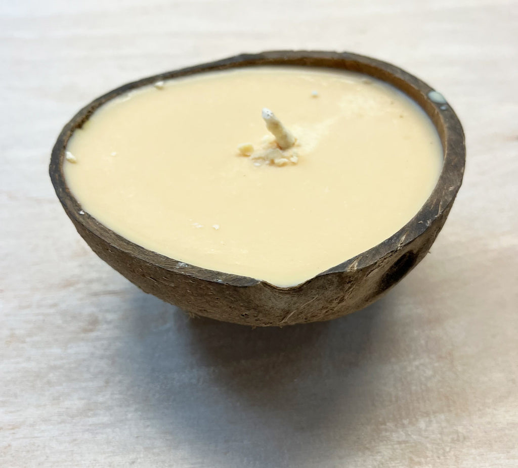 SALE Coconut Candle: Sea Salt