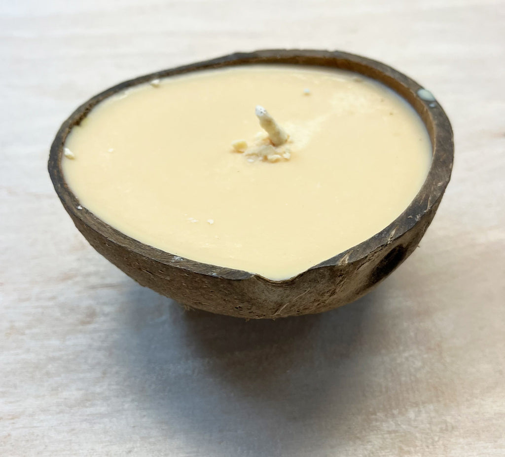 Coconut Candle: Sea Salt